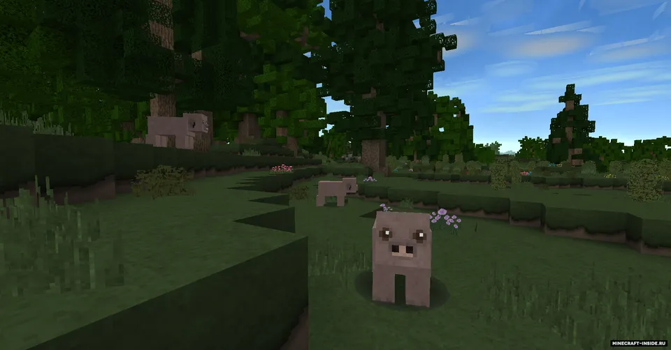 -N- Diversity — Minecraft resurs pak, rasm 2