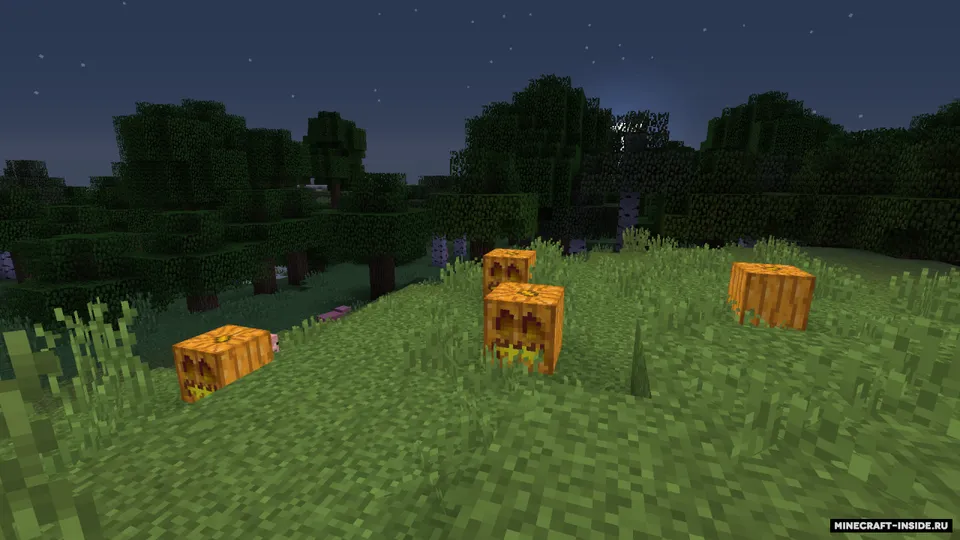 Default Upgrade — Minecraft resurs pak, rasm 5