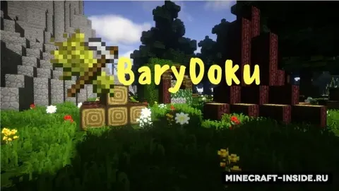 BaryDoku Remix