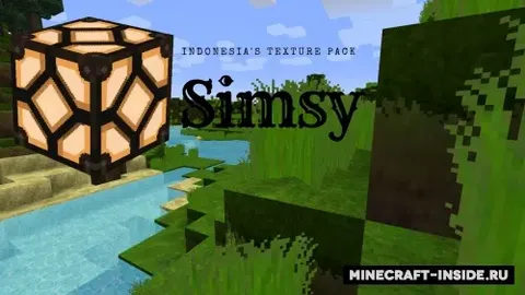Simsy