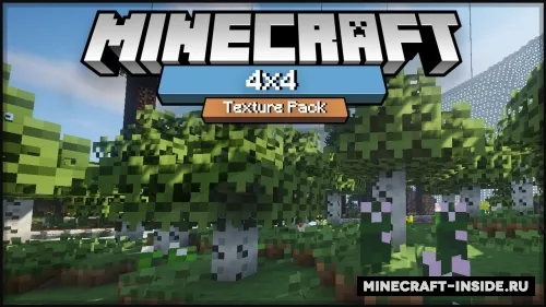 4×4 — Minecraft resurs pak, rasm 1