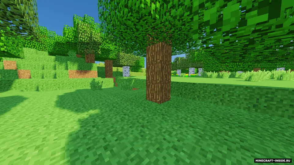 Natural Textures — Minecraft resurs pak, rasm 8