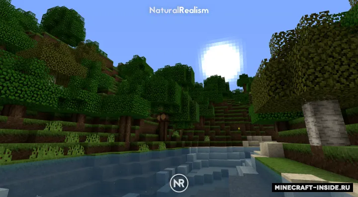 Natural Realism — Minecraft resurs pak, rasm 5