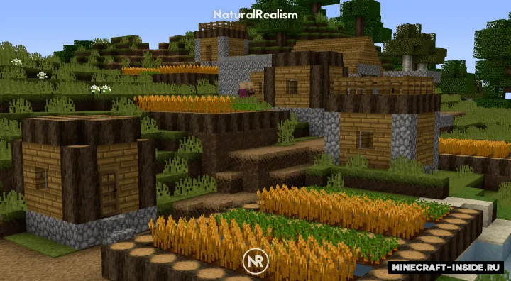 Natural Realism — Minecraft resurs pak, rasm 6
