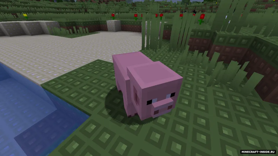 Shiny Pixels — Minecraft resurs pak, rasm 4