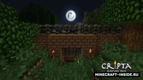 Cripta
