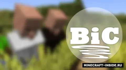 Bic