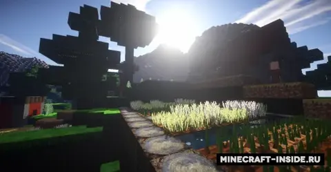 The MesaCraft