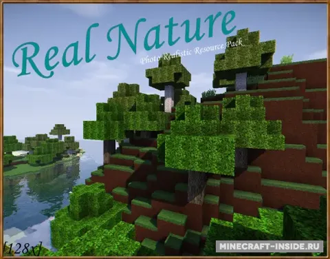 Real Nature