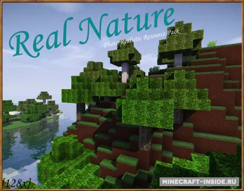 Real Nature — Minecraft resurs pak, rasm 1