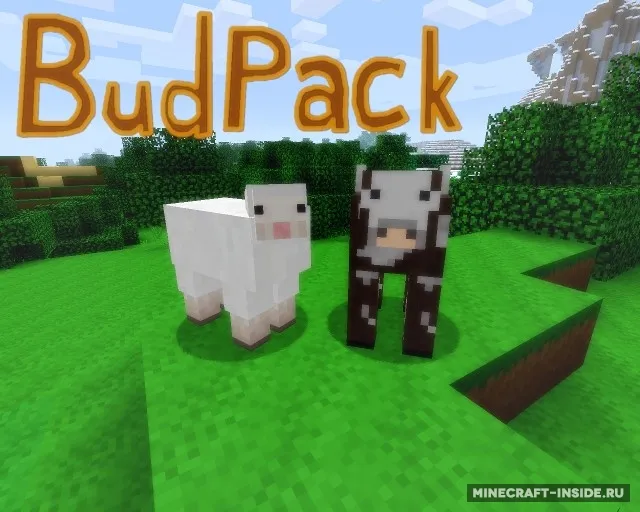 BudPack — Minecraft resurs pak, rasm 8