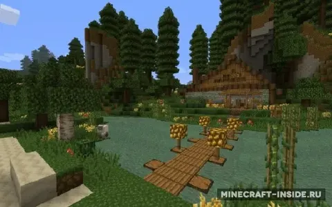 Jungle Ruins