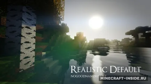 Realistic Default — Minecraft resurs pak, rasm 1