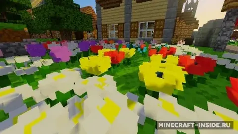 NineCubed