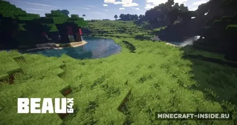 Beau