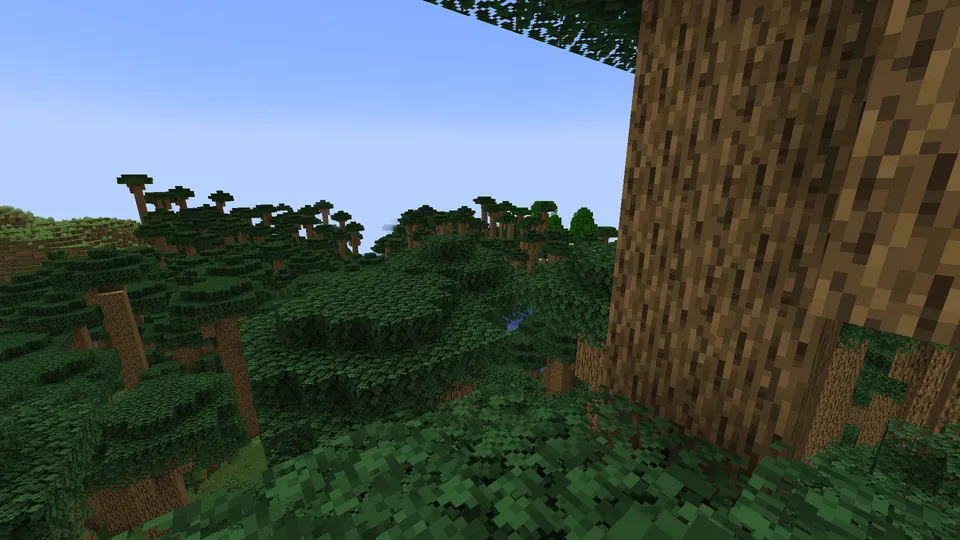 Biome Fest — Minecraft mod, rasm 4