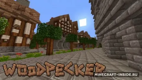 Woodpecker