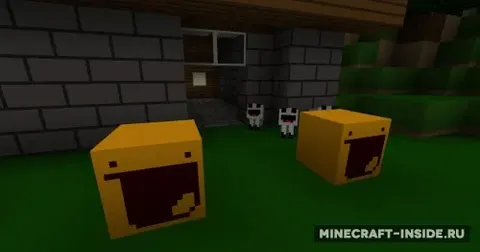 Yay Toast