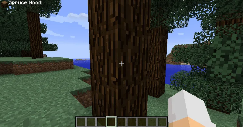 Block Display — Minecraft mod, rasm 2