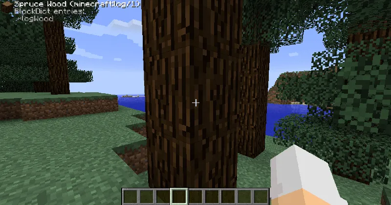 Block Display — Minecraft mod, rasm 3
