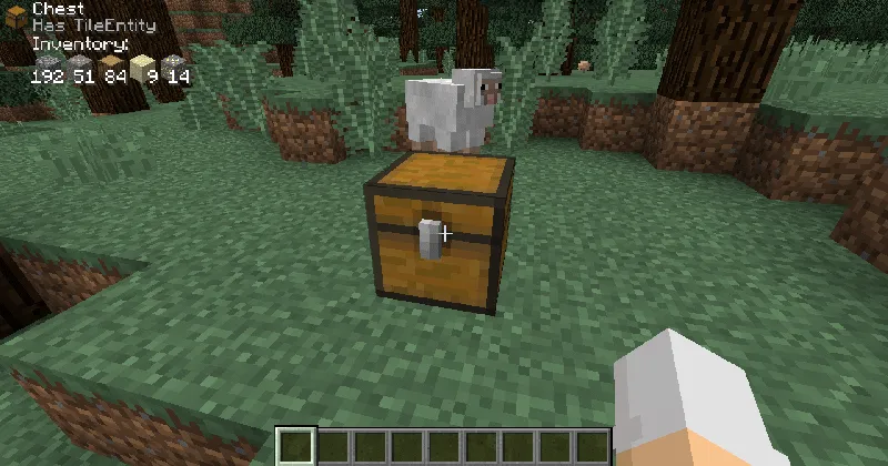 Block Display — Minecraft mod, rasm 4