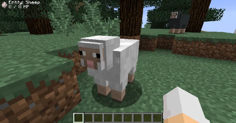 Block Display — Minecraft mod, rasm 5