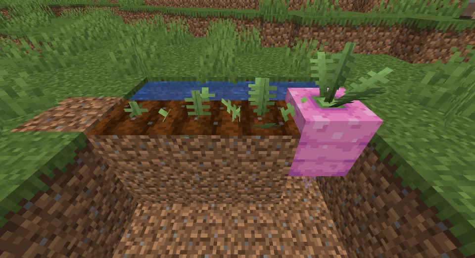 Ancient Harvest — Minecraft mod, rasm 3