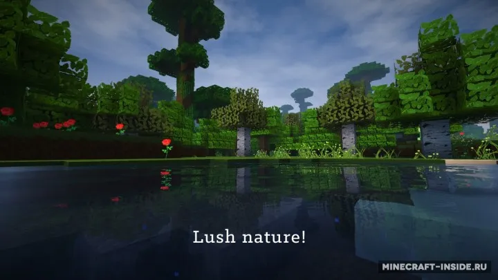 DEM — Minecraft resurs pak, rasm 2