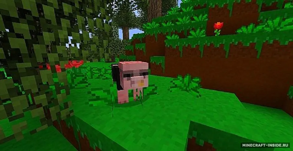 Damo's Texture Pack — Minecraft resurs pak, rasm 4