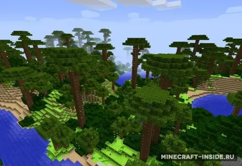 Pokemon Wool