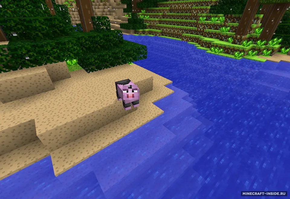 Pokemon Wool — Minecraft resurs pak, rasm 4