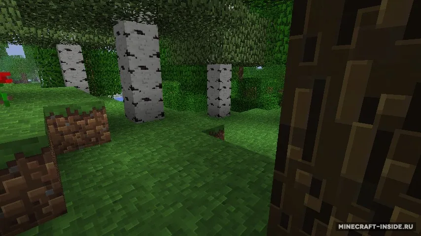 Traditional Beauty — Minecraft resurs pak, rasm 3