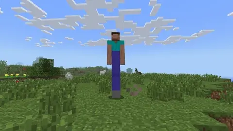 The Persecution of Long-Legged Steve