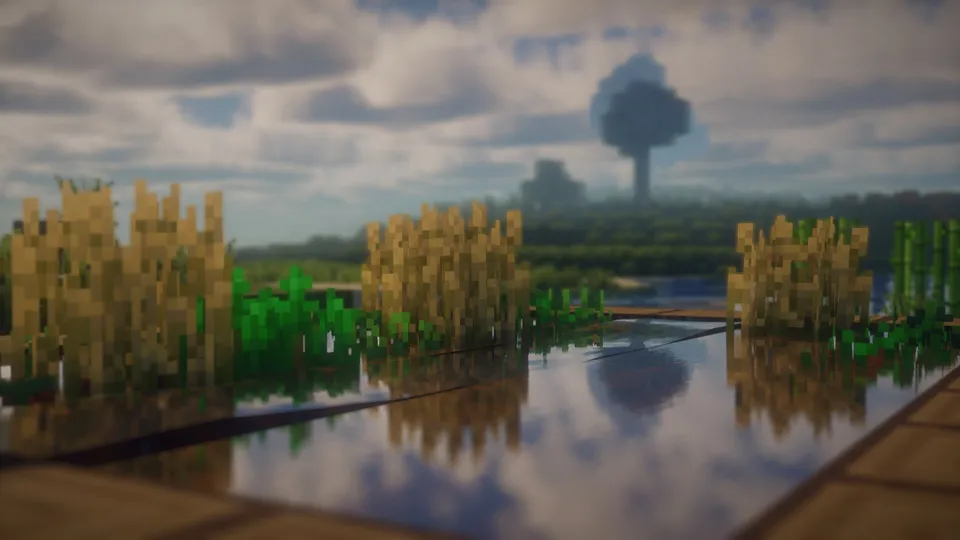 Turtle — Minecraft shader, rasm 8