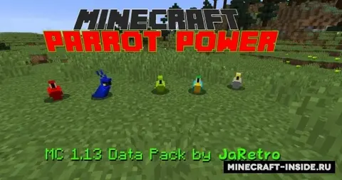 Parrot Power