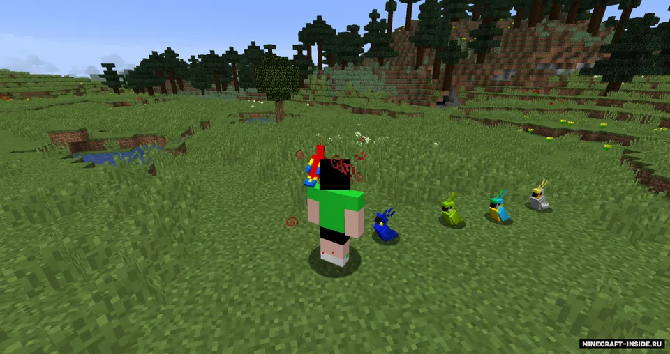 Parrot Power — Minecraft data pak, rasm 2