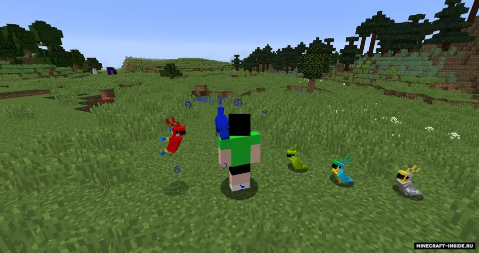 Parrot Power — Minecraft data pak, rasm 3