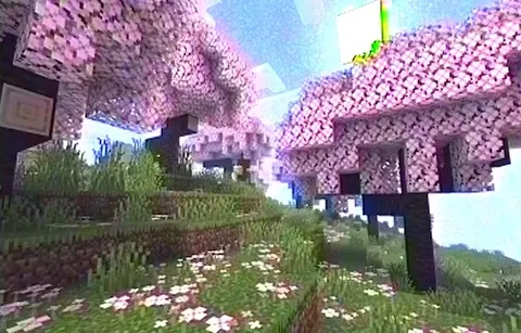 MC VHS