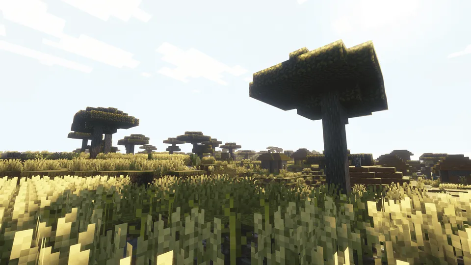 VcorA's shader — Minecraft shader, rasm 6