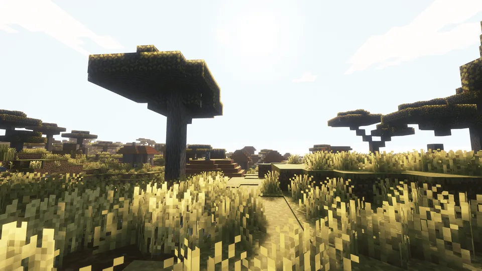 VcorA's shader — Minecraft shader, rasm 8