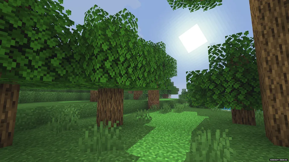 LS RenderPearl — Minecraft shader, rasm 6