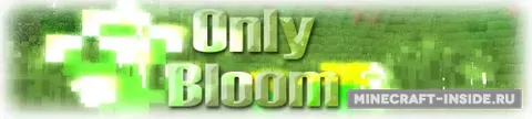 Only Bloom