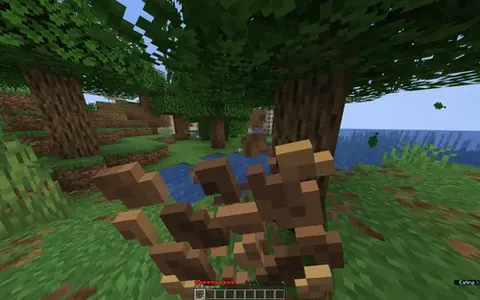 Ko'proq ovqat