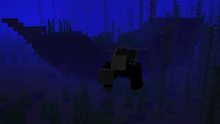 Wearable glass — Minecraft data pak, rasm 4