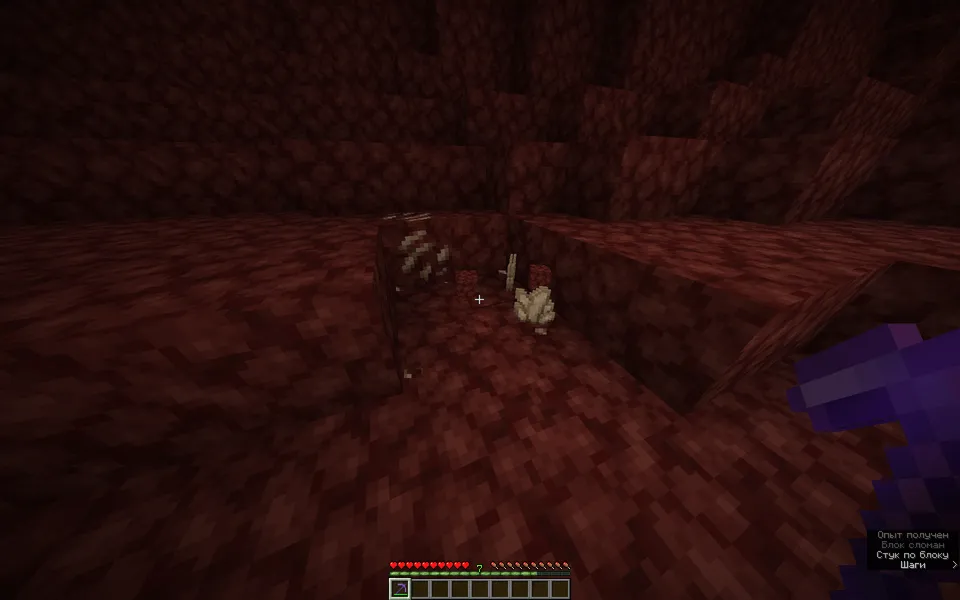 Rudalardan tushadigan narsalarni o'zgartirish — Minecraft data pak, rasm 4