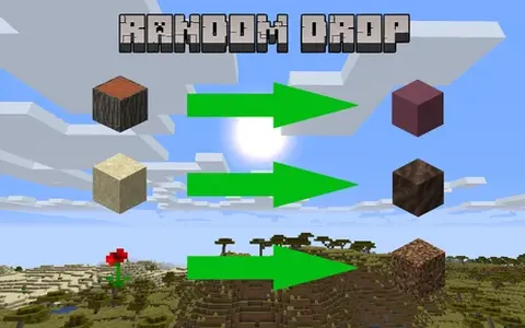 Random Drop