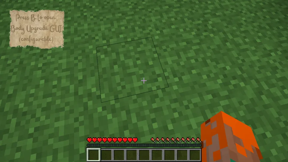 The Body Boosts — Minecraft mod, rasm 2