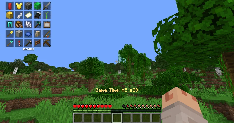 Bingo — Minecraft data pak, rasm 4