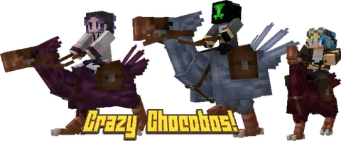 Crazy Chocobos!