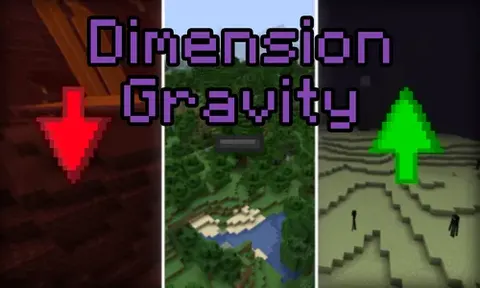 Dimension Gravity